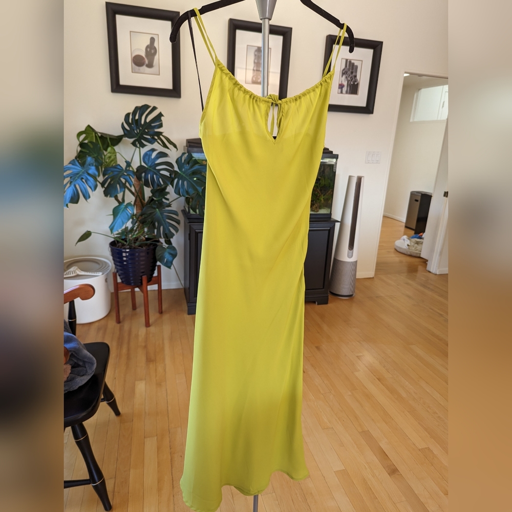 Sheer slip dress. Brand new with tags!